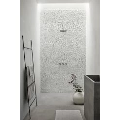 Blomus FERA Handdoekladder Zwart Gepoedercoat -Badkamermeubels Winkel 10072096